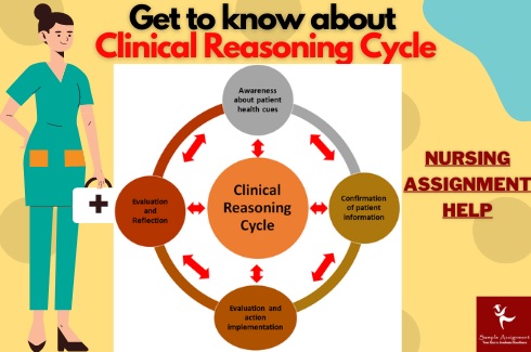 about clinical reasoning cycle