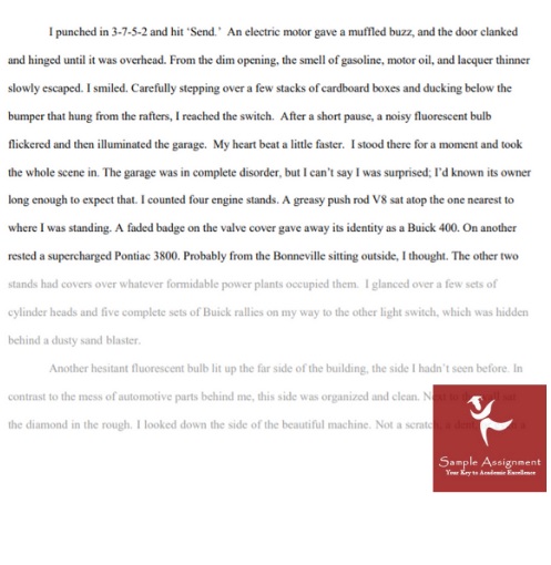 narrative essay sample