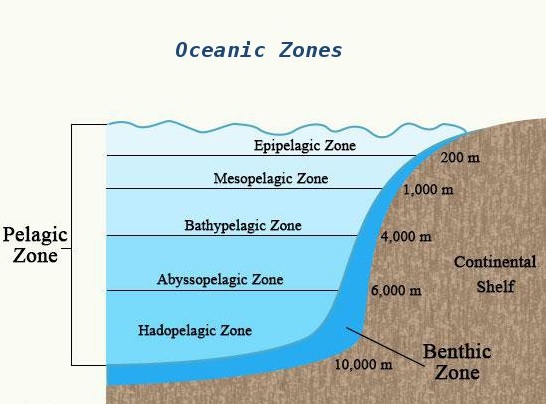 ocaenic zone