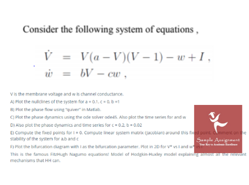 Computational Neuroscience Equation Sample Computational Neuroscience Equation Sample