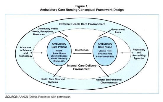 Professional Ambulatory Care Nursing Assignment Help Professional Ambulatory Care Nursing Assignment Help Follow