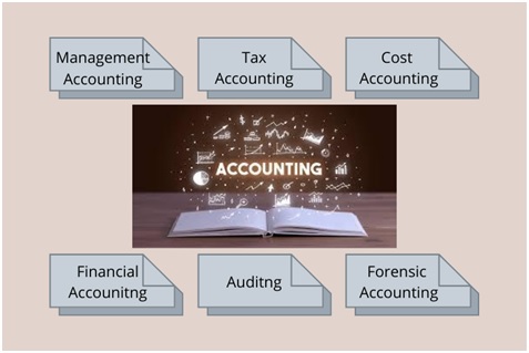 accounting assignment sample