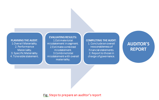 steps to prepare an auditors report