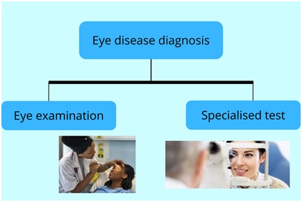 ophthalmology assignment help services