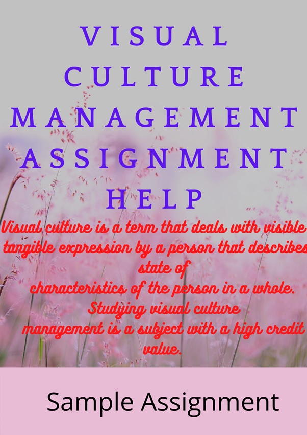 visual culture management assignment help
